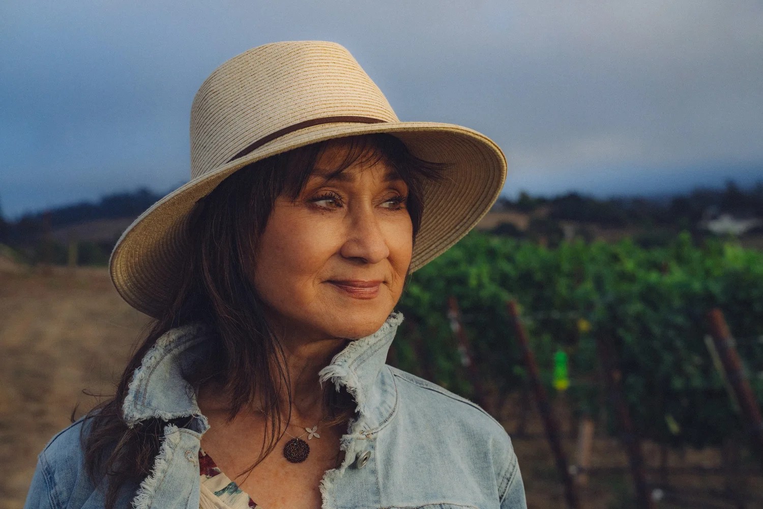 ドンナ・カトウ ドンナ・カトウ